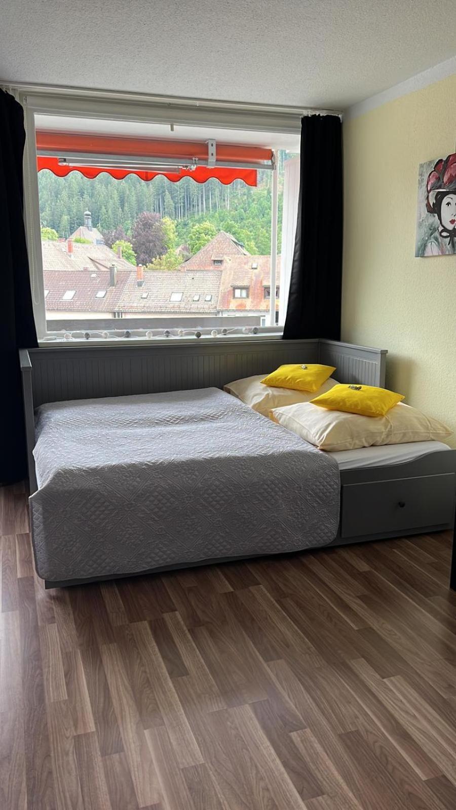 Domview Apartment St. Blasien Εξωτερικό φωτογραφία