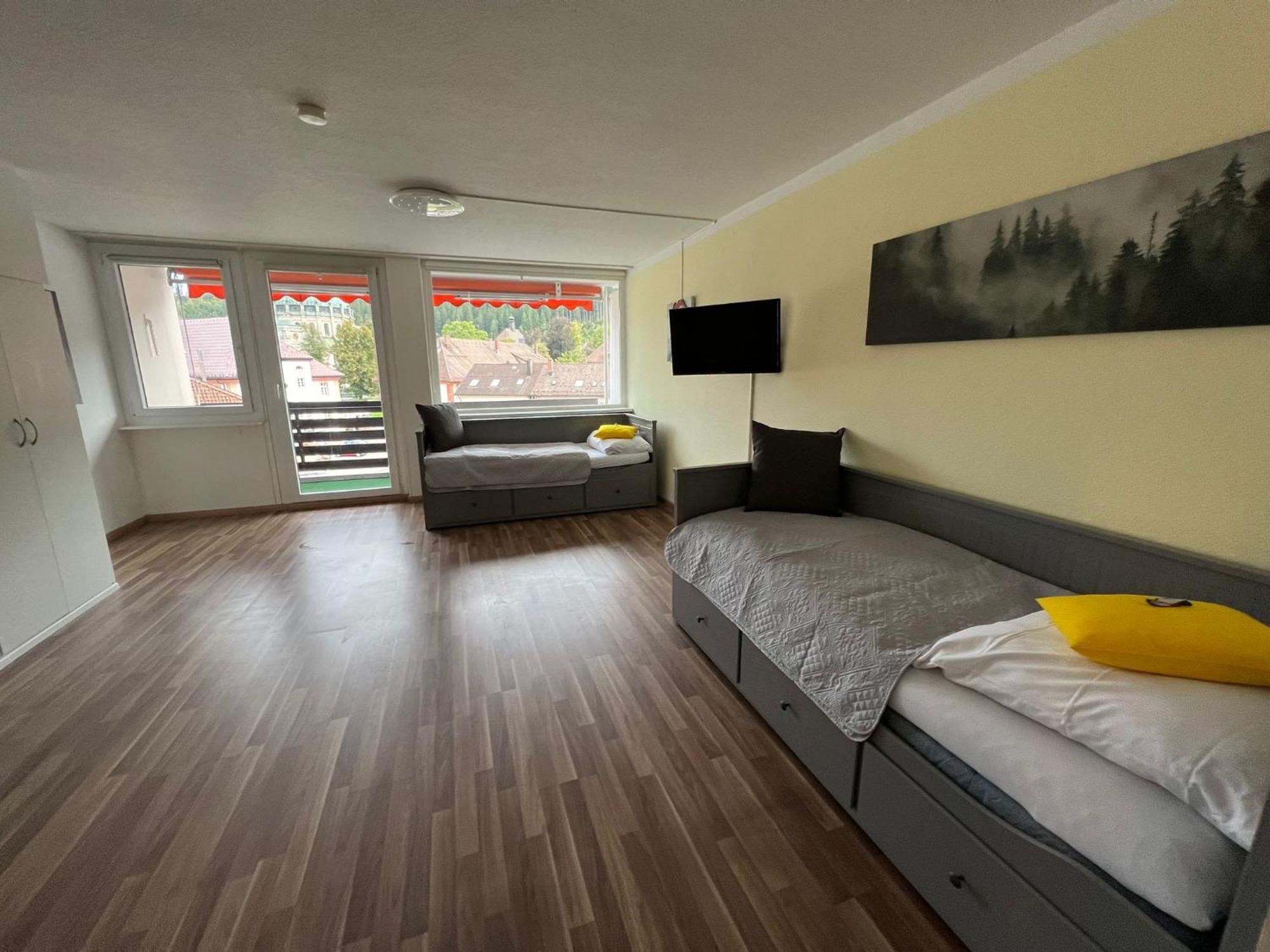 Domview Apartment St. Blasien Εξωτερικό φωτογραφία