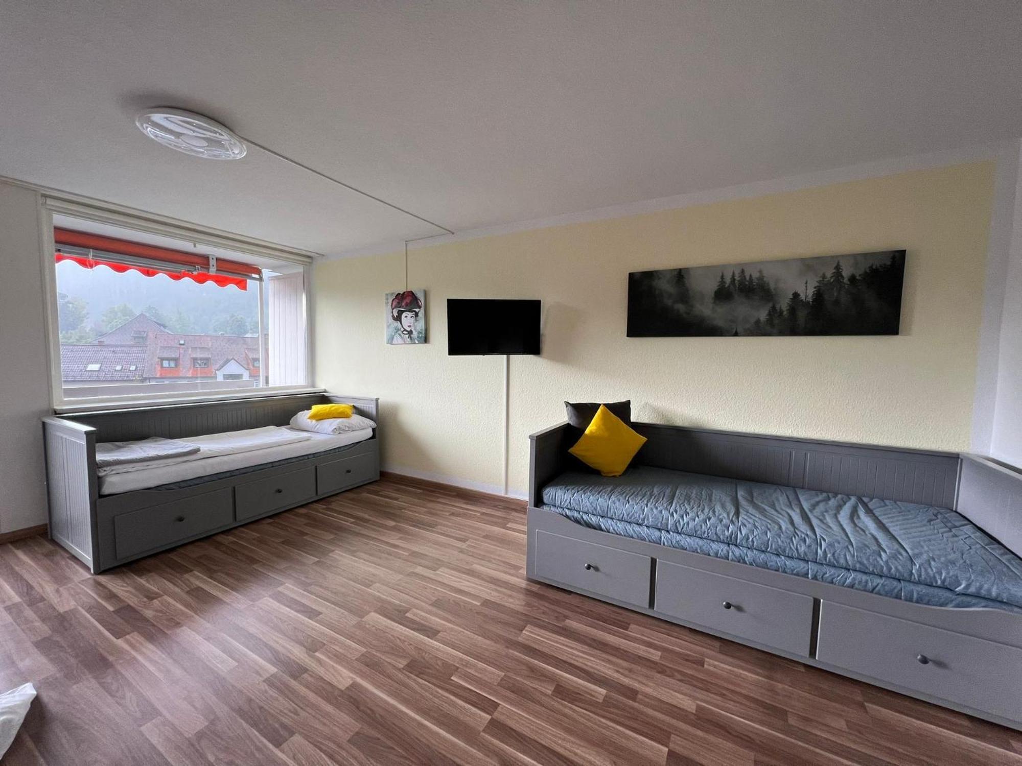 Domview Apartment St. Blasien Εξωτερικό φωτογραφία
