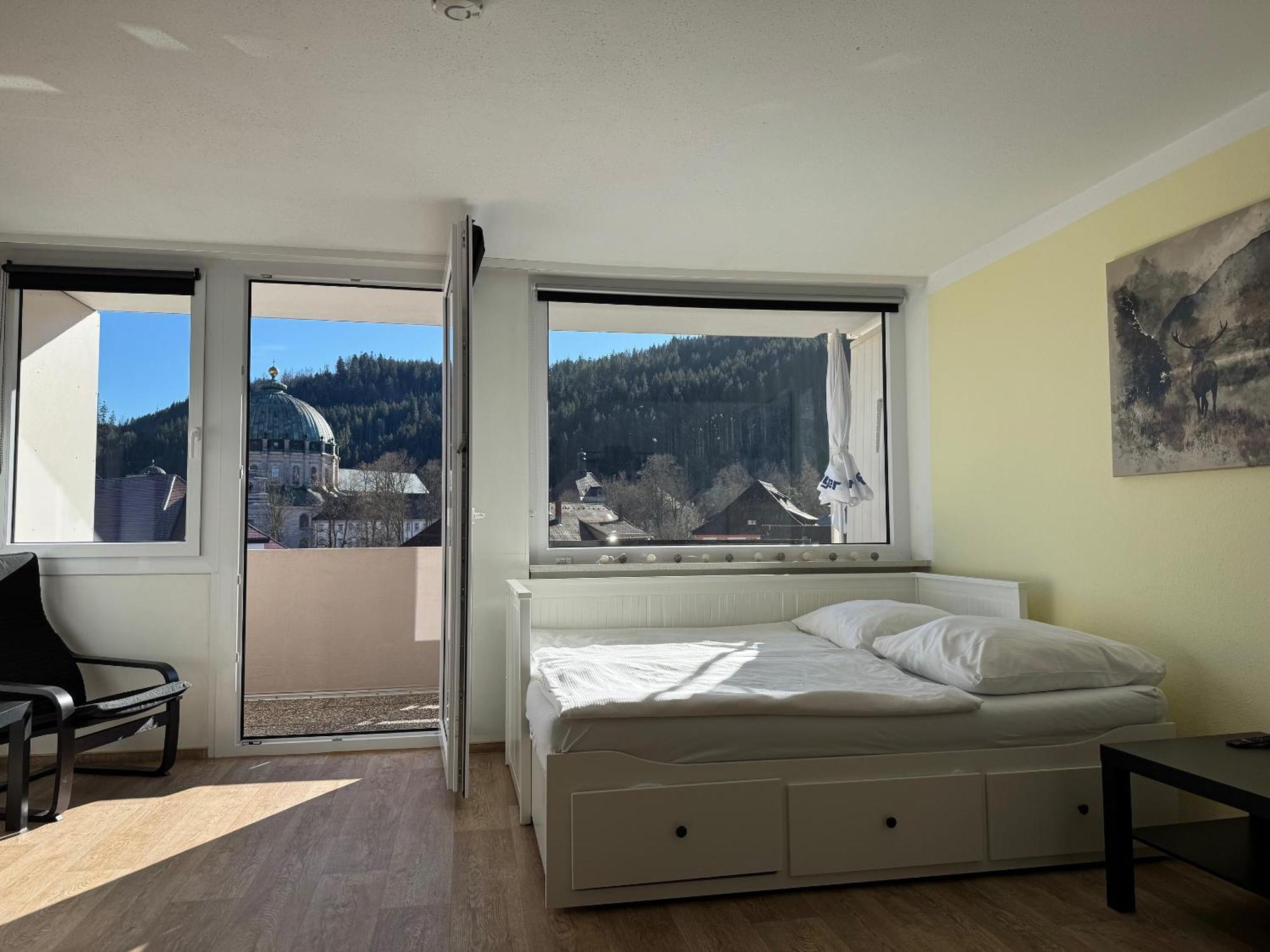 Domview Apartment St. Blasien Εξωτερικό φωτογραφία